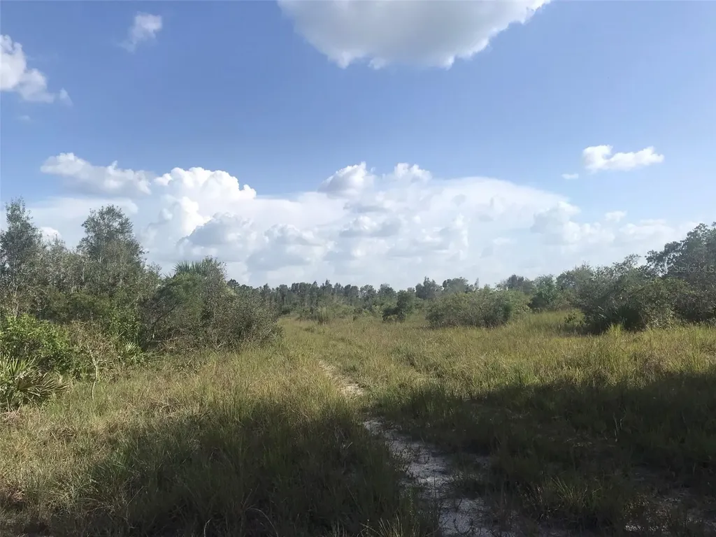 48033 Bermont Road Punta Gorda FL 33982