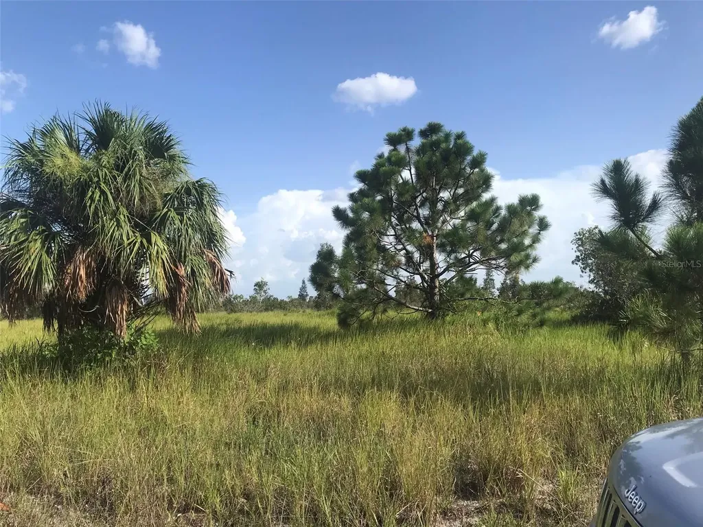 48033 Bermont Road Punta Gorda FL 33982