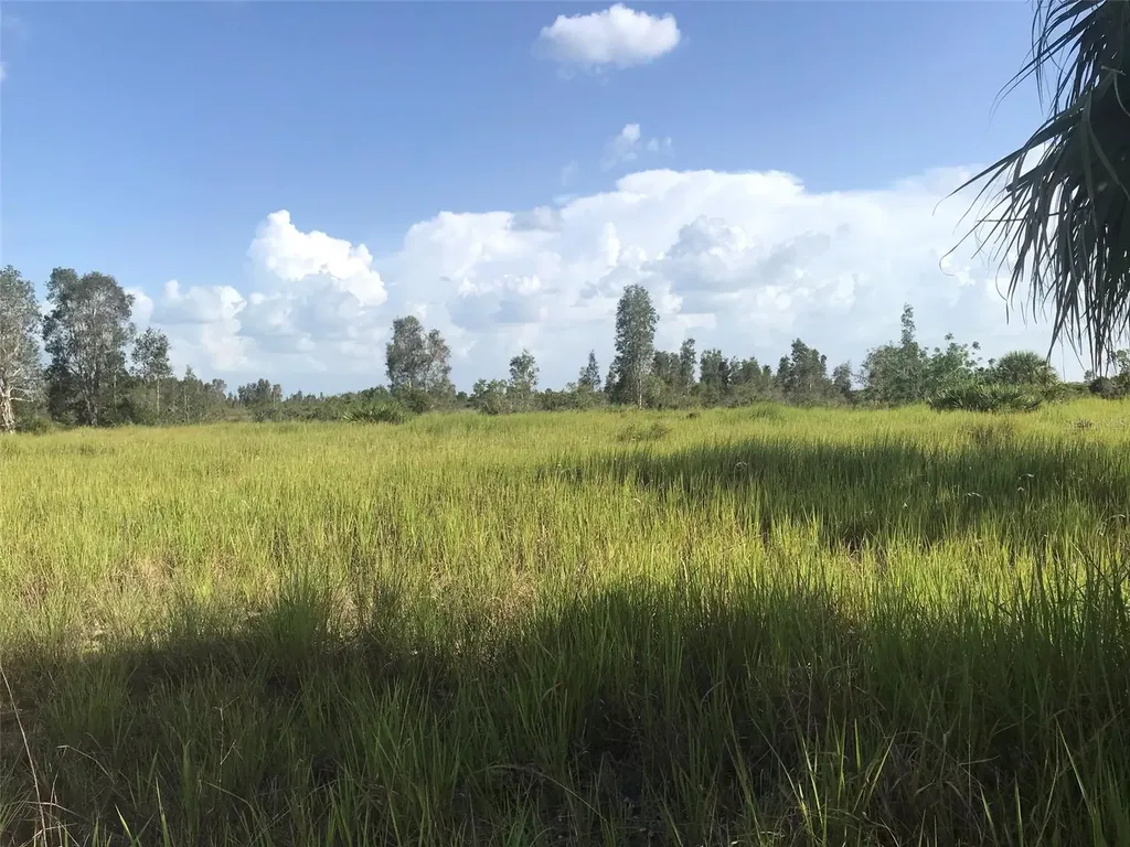 48033 Bermont Road Punta Gorda FL 33982