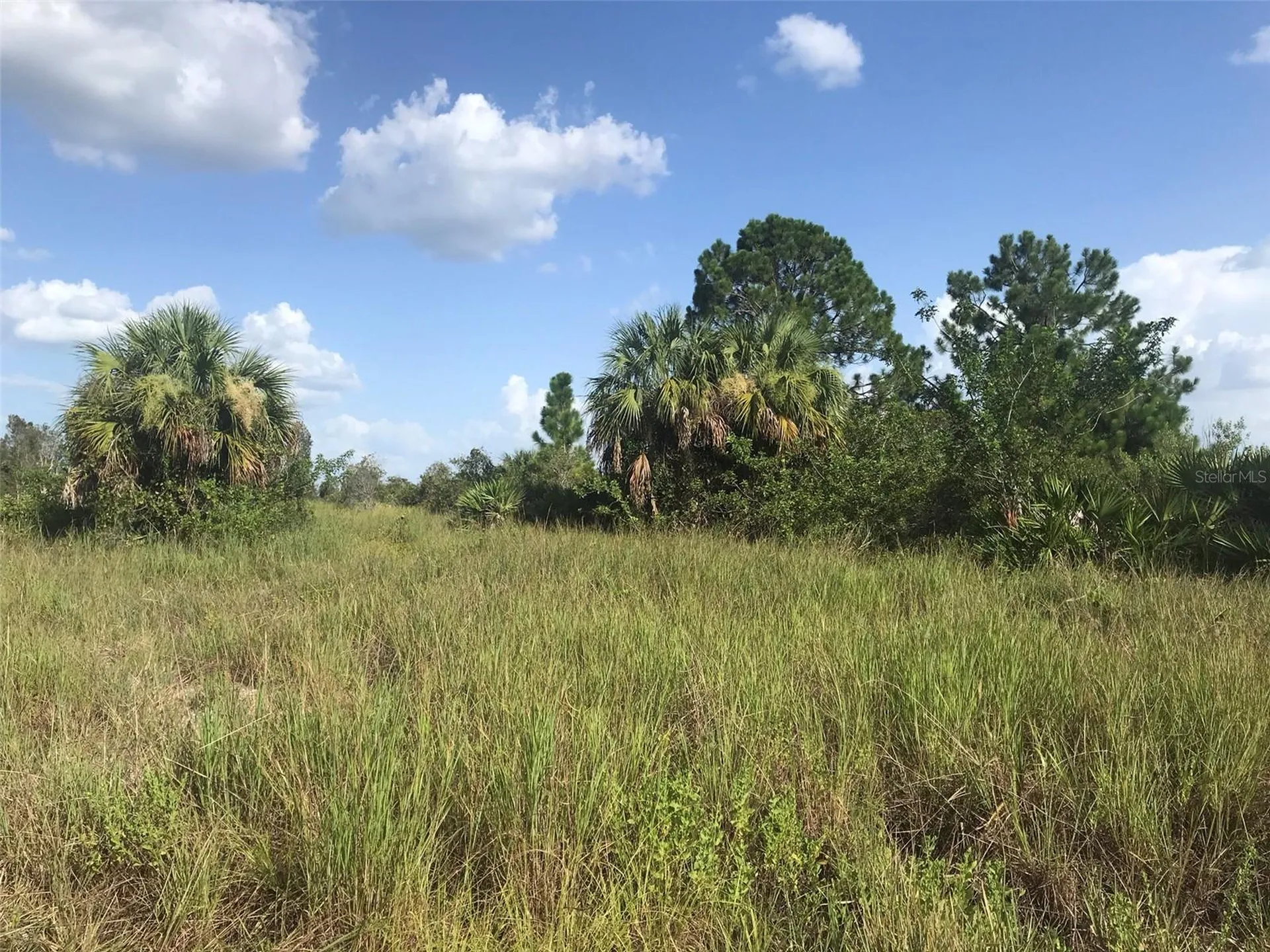 48033 Bermont Road Punta Gorda FL 33982