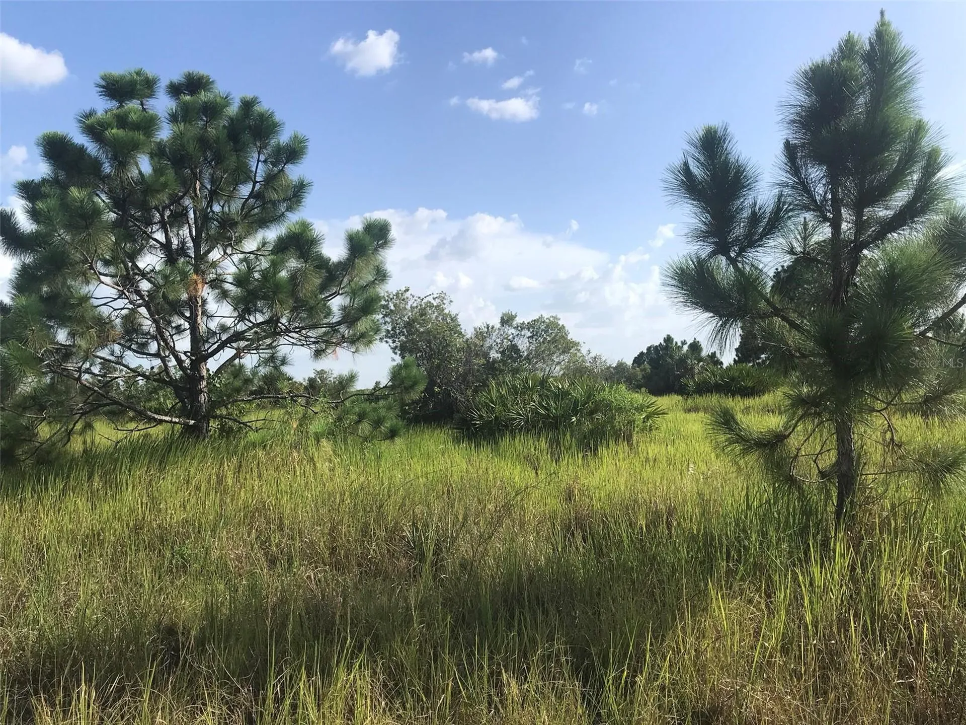 48033 Bermont Road Punta Gorda FL 33982