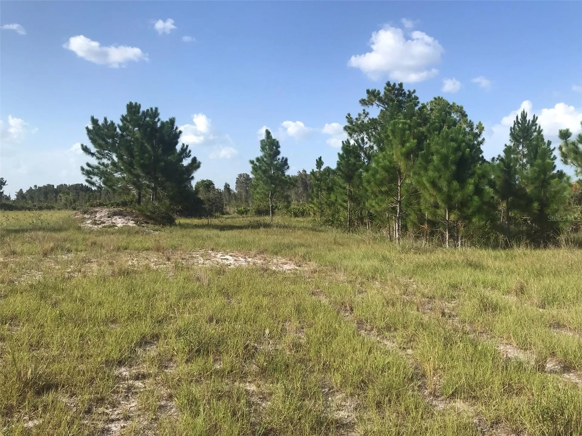 48033 Bermont Road Punta Gorda FL 33982
