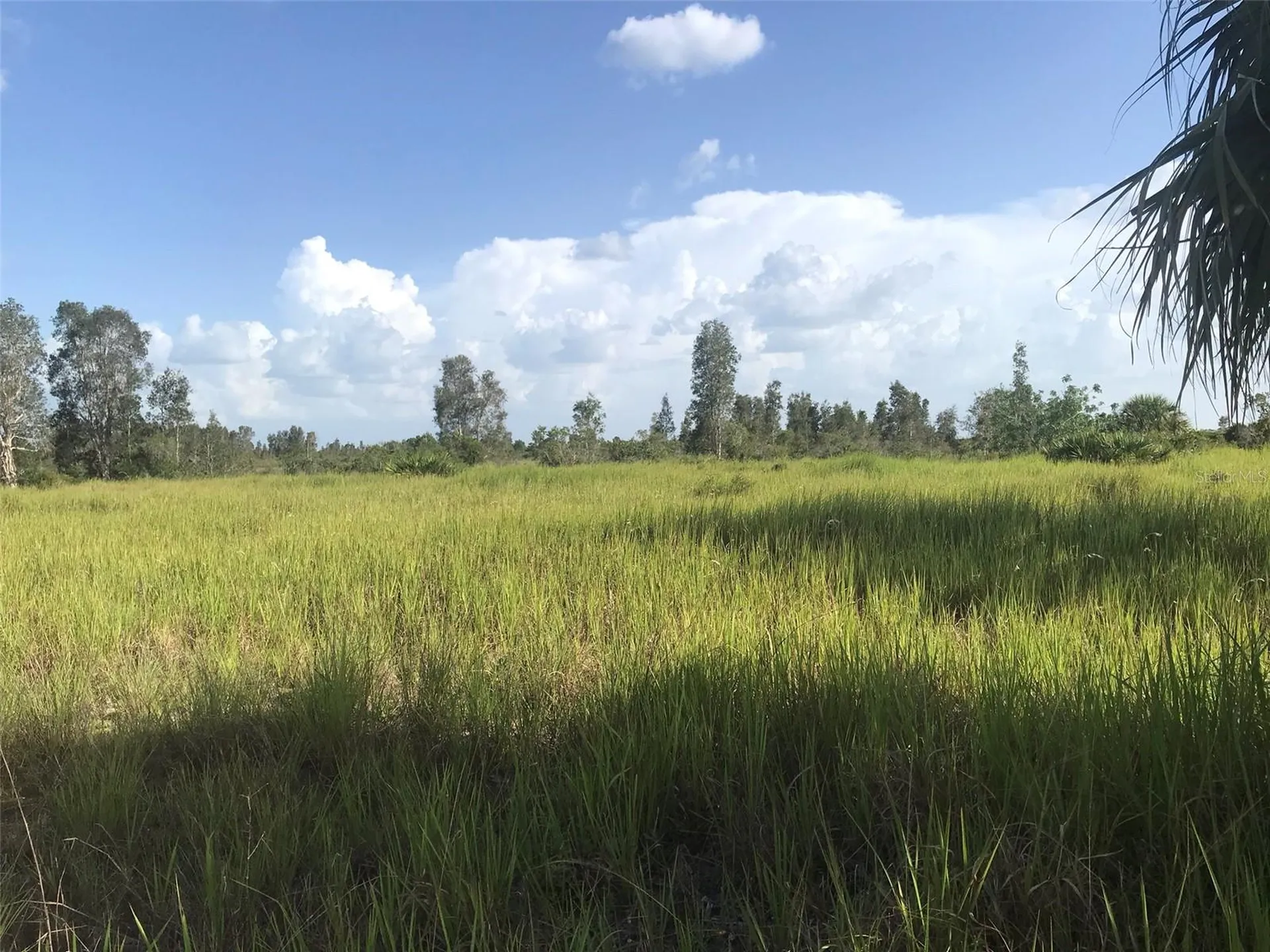 48033 Bermont Road Punta Gorda FL 33982