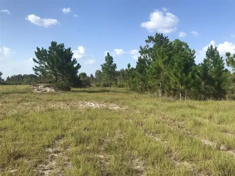 48033 Bermont Road Punta Gorda FL 33982