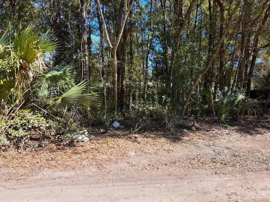 SW 35th Avenue Ocala FL 34476