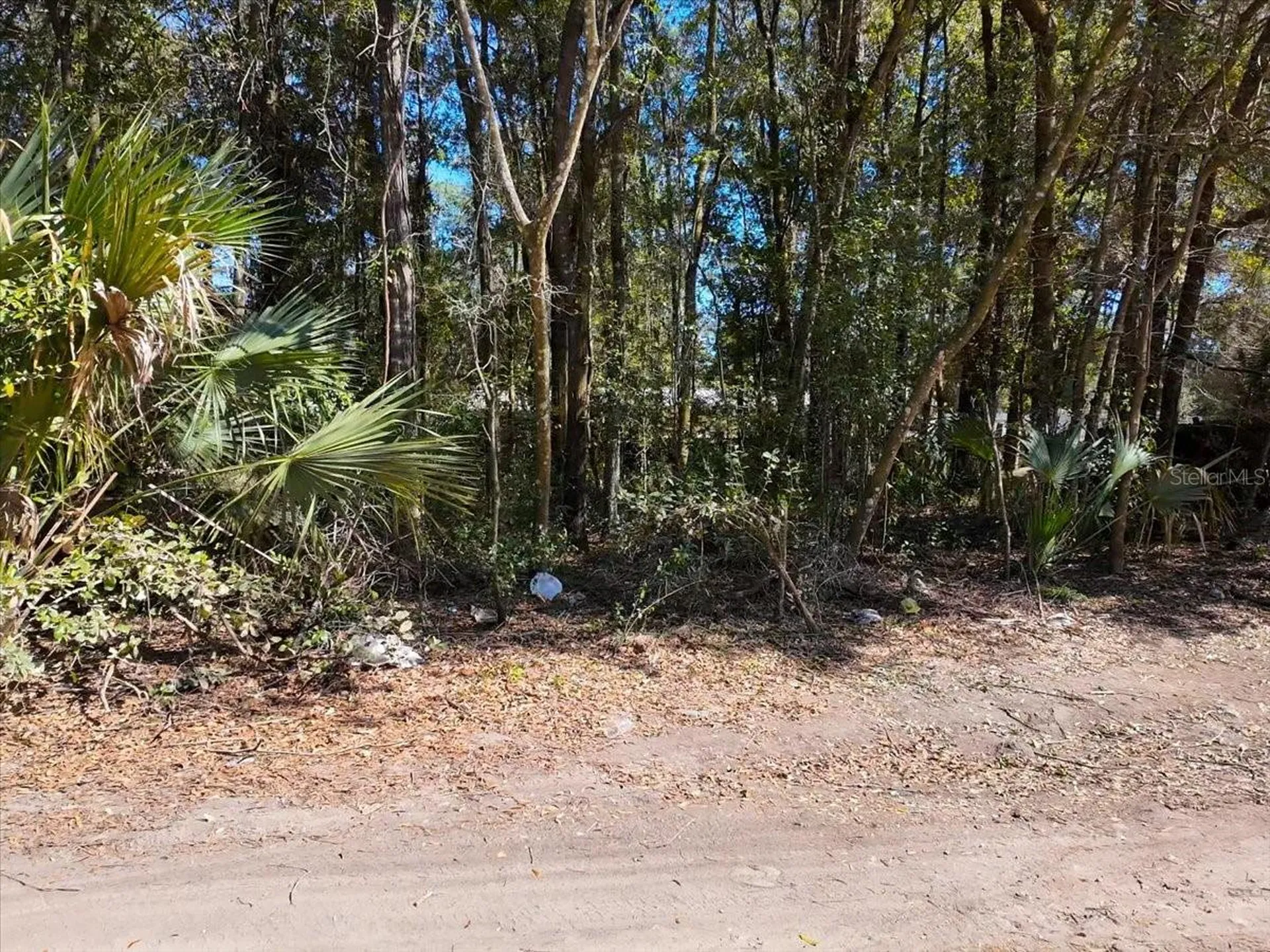 SW 35th Avenue Ocala FL 34476