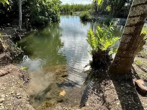 PR-335 Km 10.3 Bo. Indios Guayanilla PR 00656