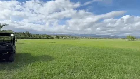 PR-335 Km 10.3 Bo. Indios Guayanilla PR 00656