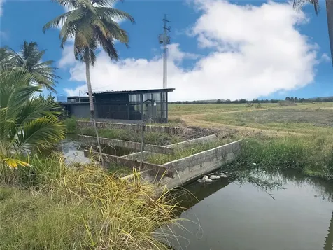 PR-335 Km 10.3 Bo. Indios Guayanilla PR 00656