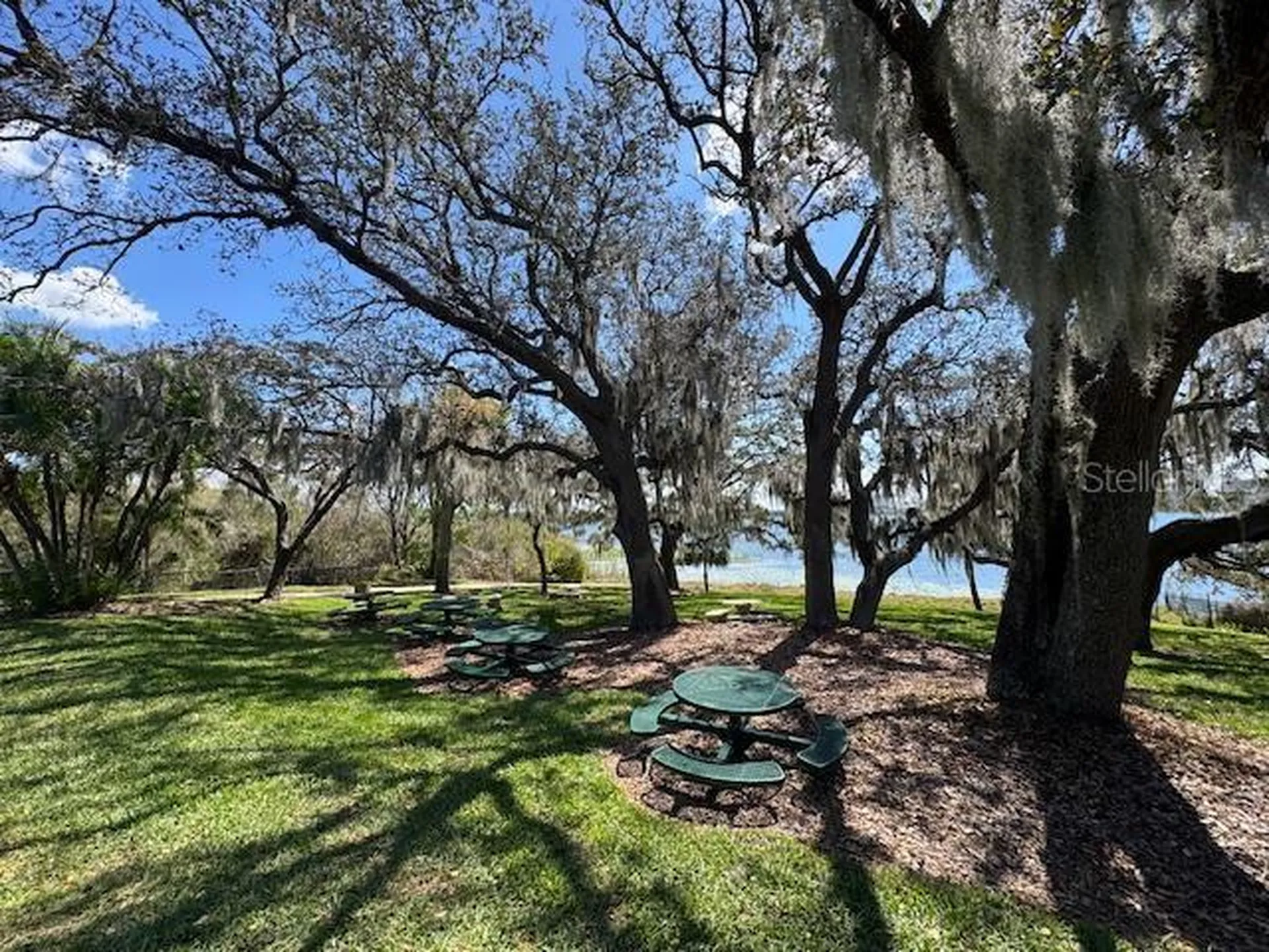 8019 N Madeira Court Orlando FL 32836