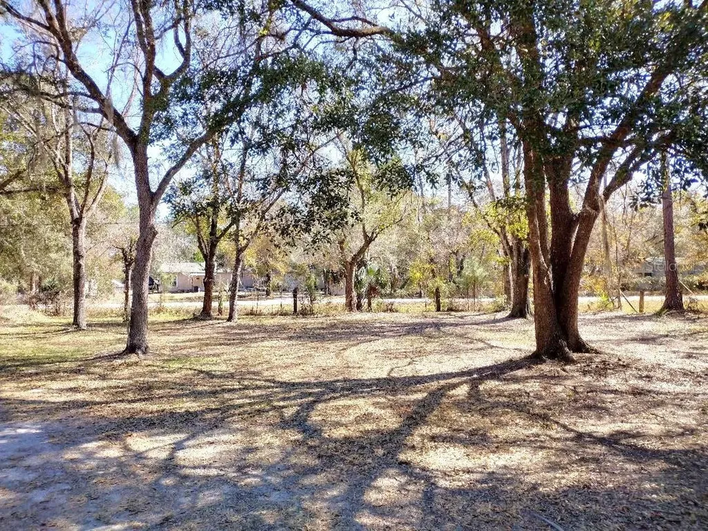 1916 Laurel Avenue Bunnell FL 32110