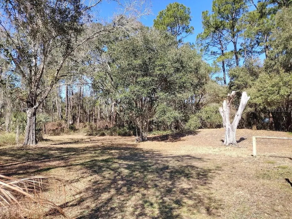 1916 Laurel Avenue Bunnell FL 32110
