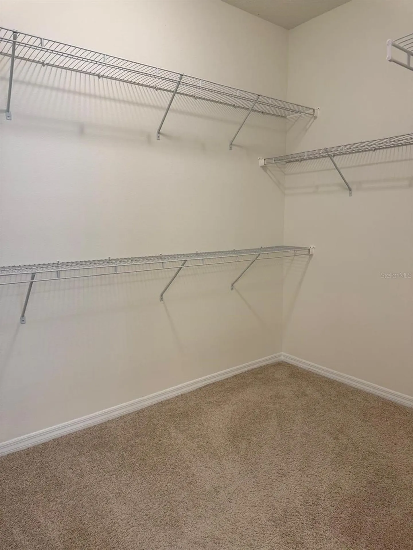 16613 Point Rock Drive Winter Garden FL 34787