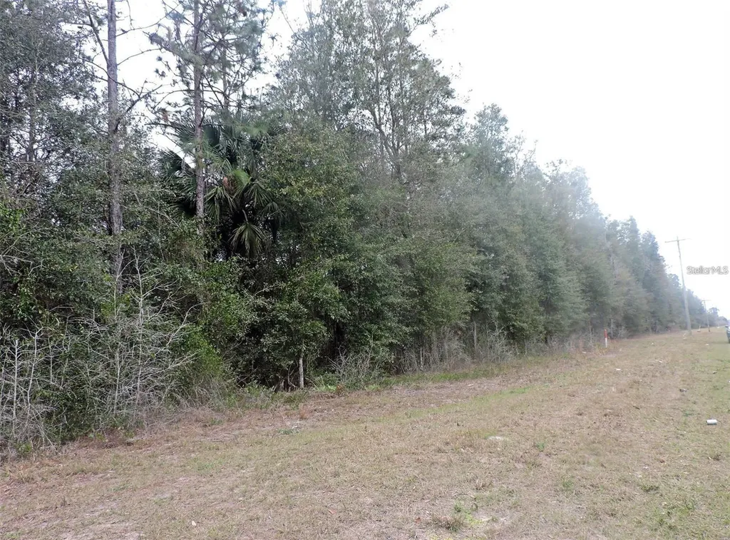 Tbd N State Road 21 Hawthorne FL 32640