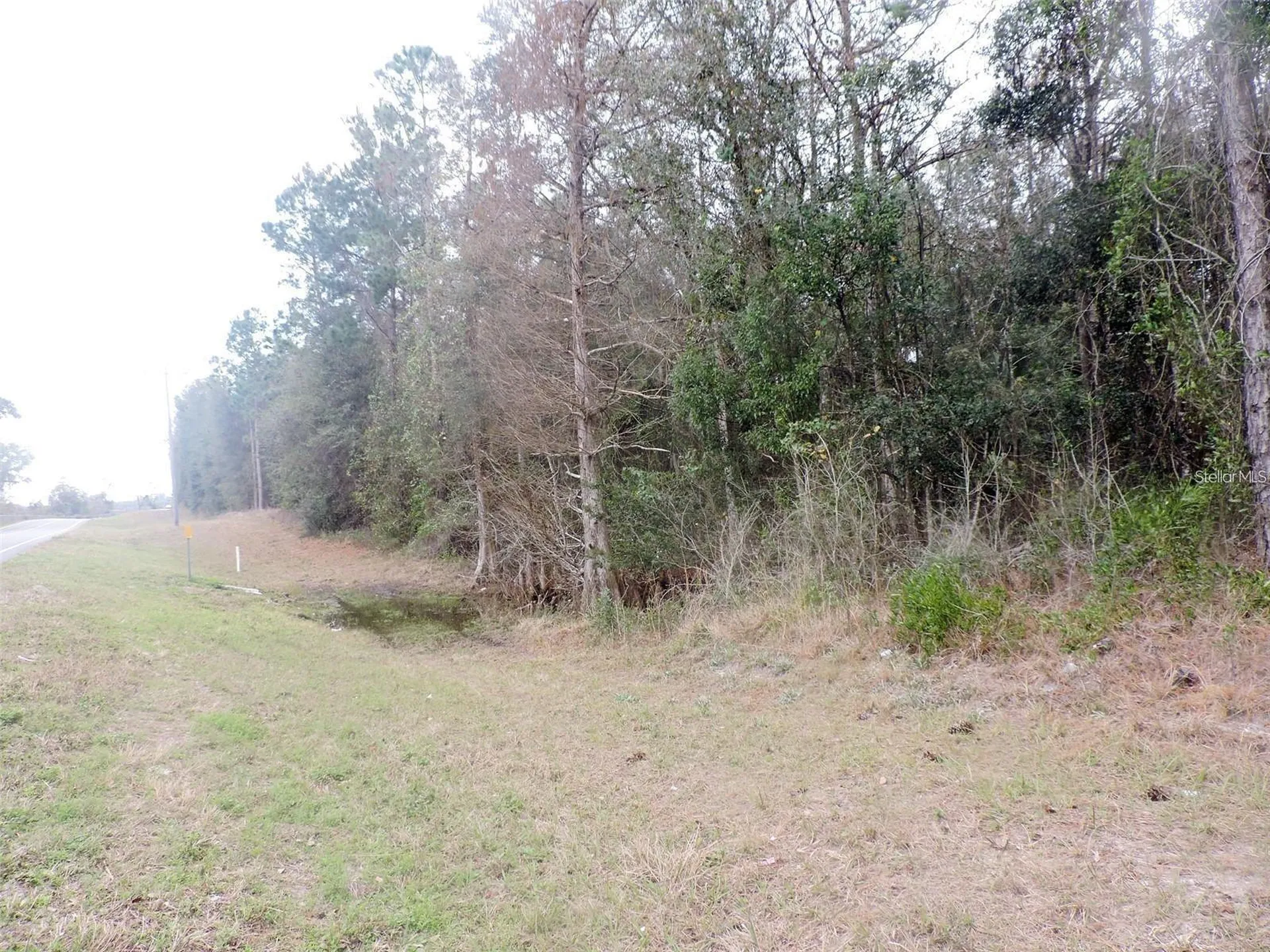 Tbd N State Road 21 Hawthorne FL 32640