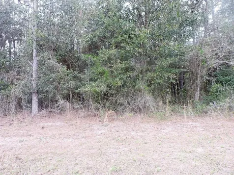 Tbd N State Road 21 Hawthorne FL 32640