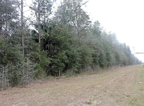 Tbd N State Road 21 Hawthorne FL 32640