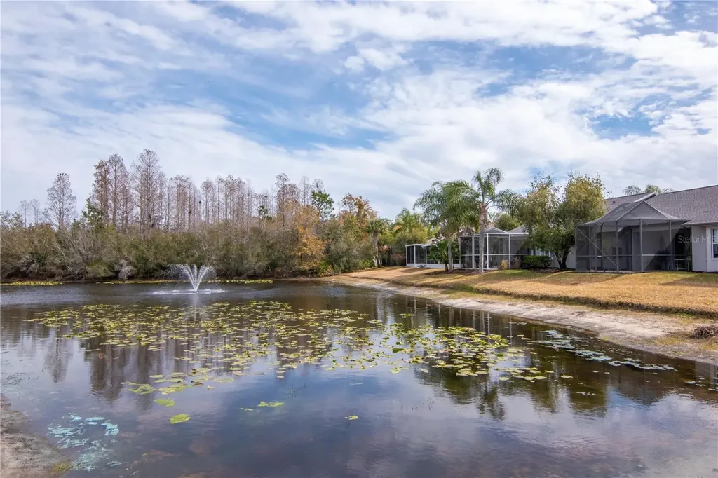 21433 Diamonte Drive Land O Lakes FL 34637