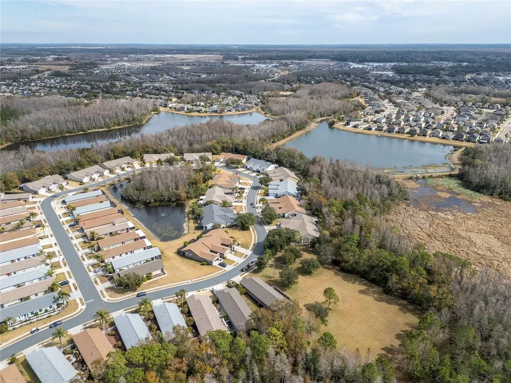 21433 Diamonte Drive Land O Lakes FL 34637