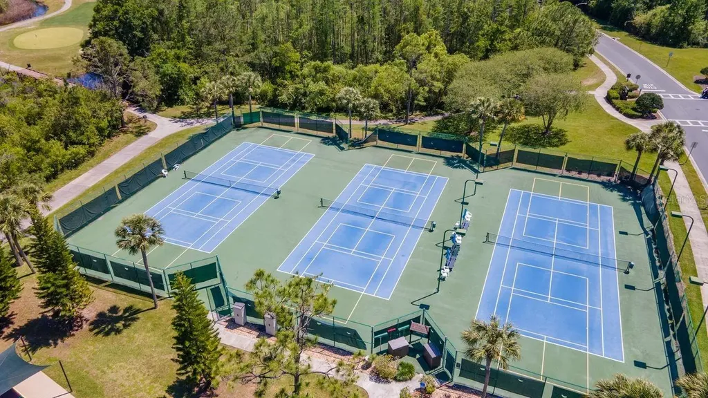 21433 Diamonte Drive Land O Lakes FL 34637