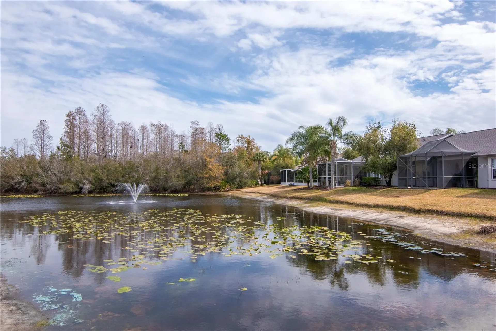 21433 Diamonte Drive Land O Lakes FL 34637