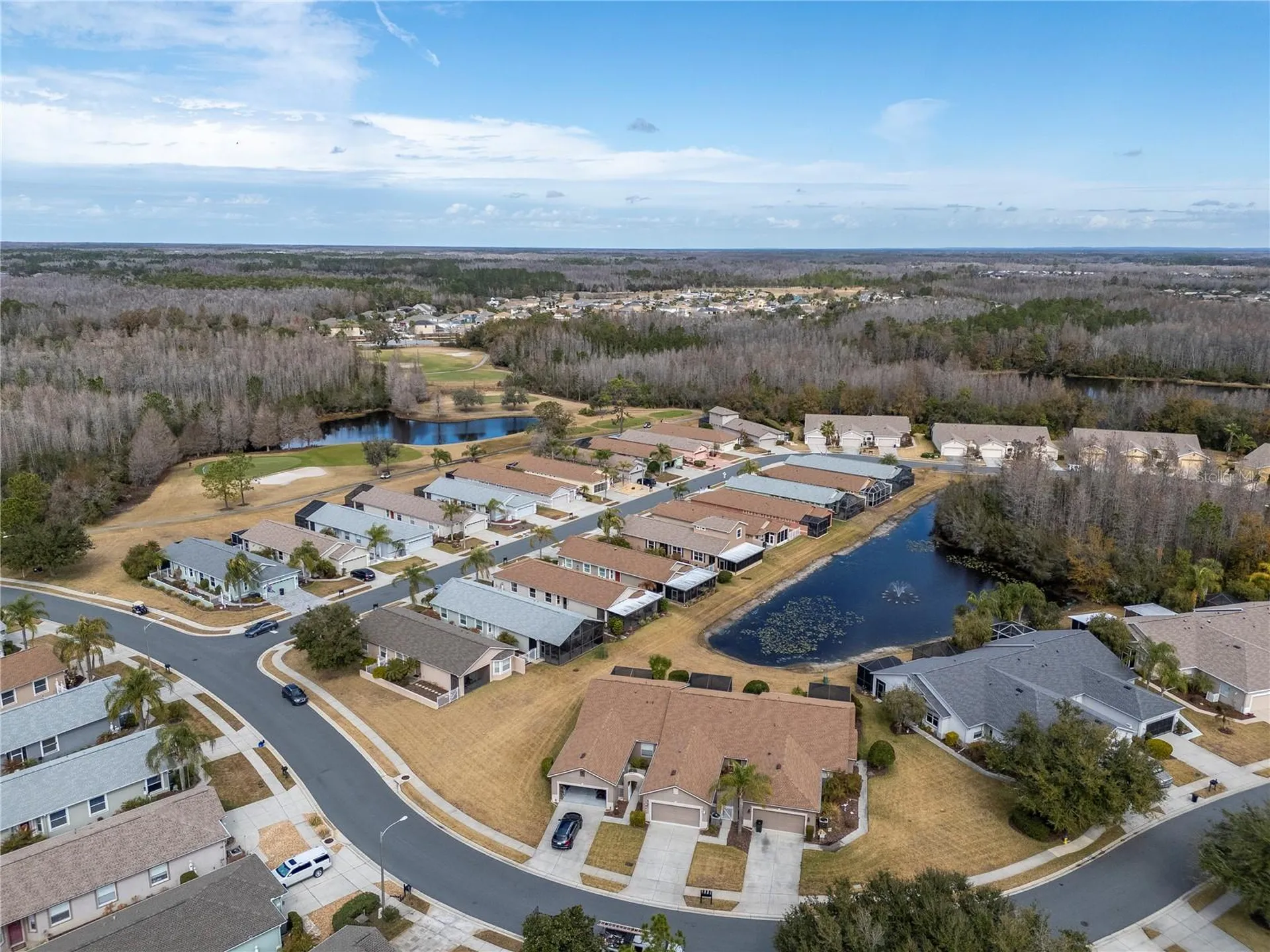 21433 Diamonte Drive Land O Lakes FL 34637