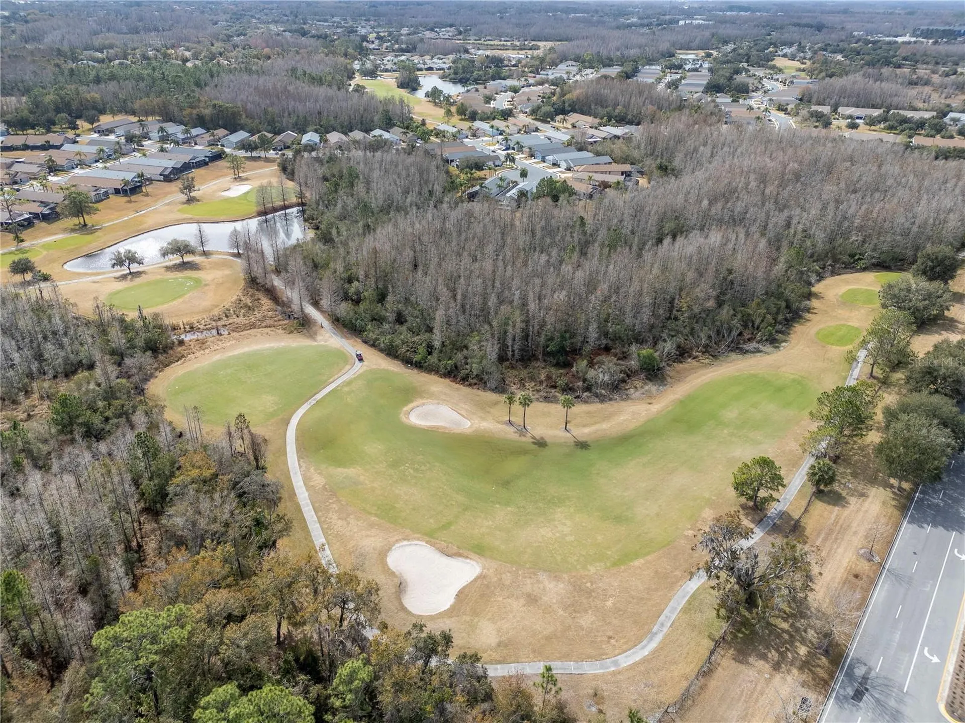 21433 Diamonte Drive Land O Lakes FL 34637