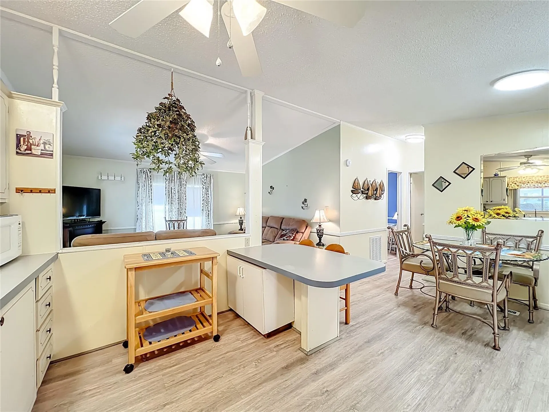 698 Cindi Avenue Leesburg FL 34788