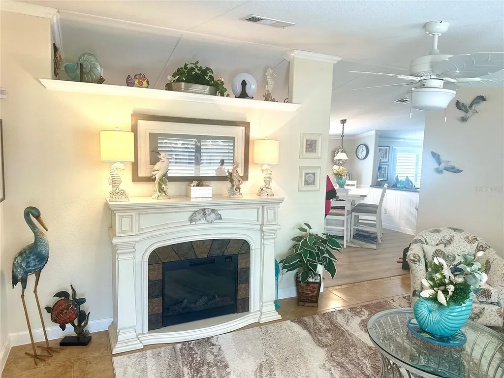 8442 County Road 109 Lady Lake FL 32159