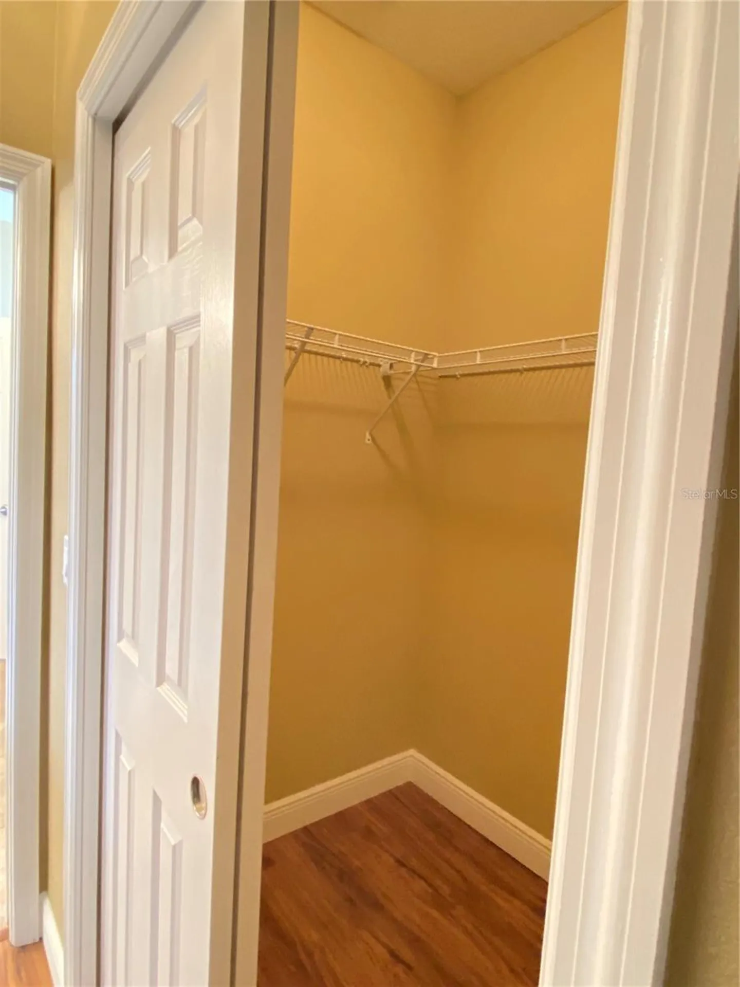 30542 Lipizzan Terrace Mount Dora FL 32757