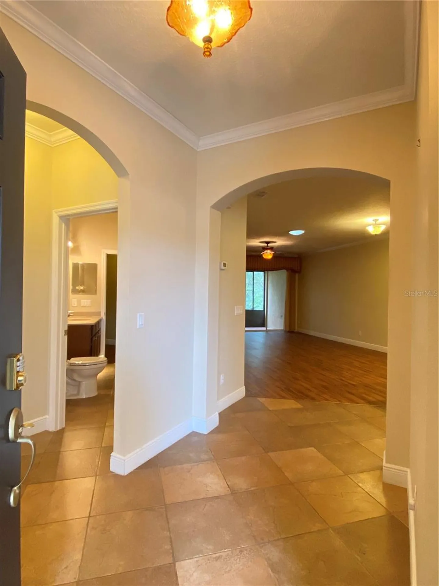 30542 Lipizzan Terrace Mount Dora FL 32757