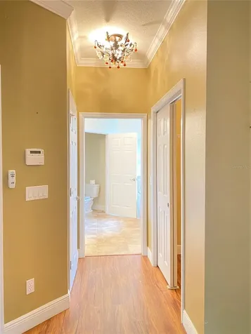 30542 Lipizzan Terrace Mount Dora FL 32757