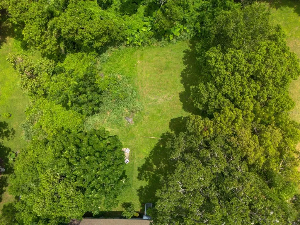 Carlton Drive Orlando FL 32806