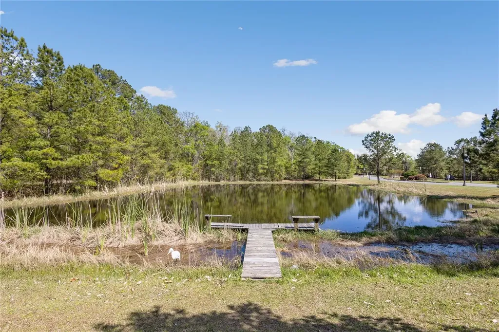 461 SW Bellflower Drive Lake City FL 32024