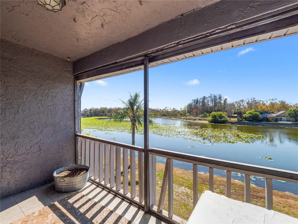 4036 Cortez Drive Tampa FL 33614