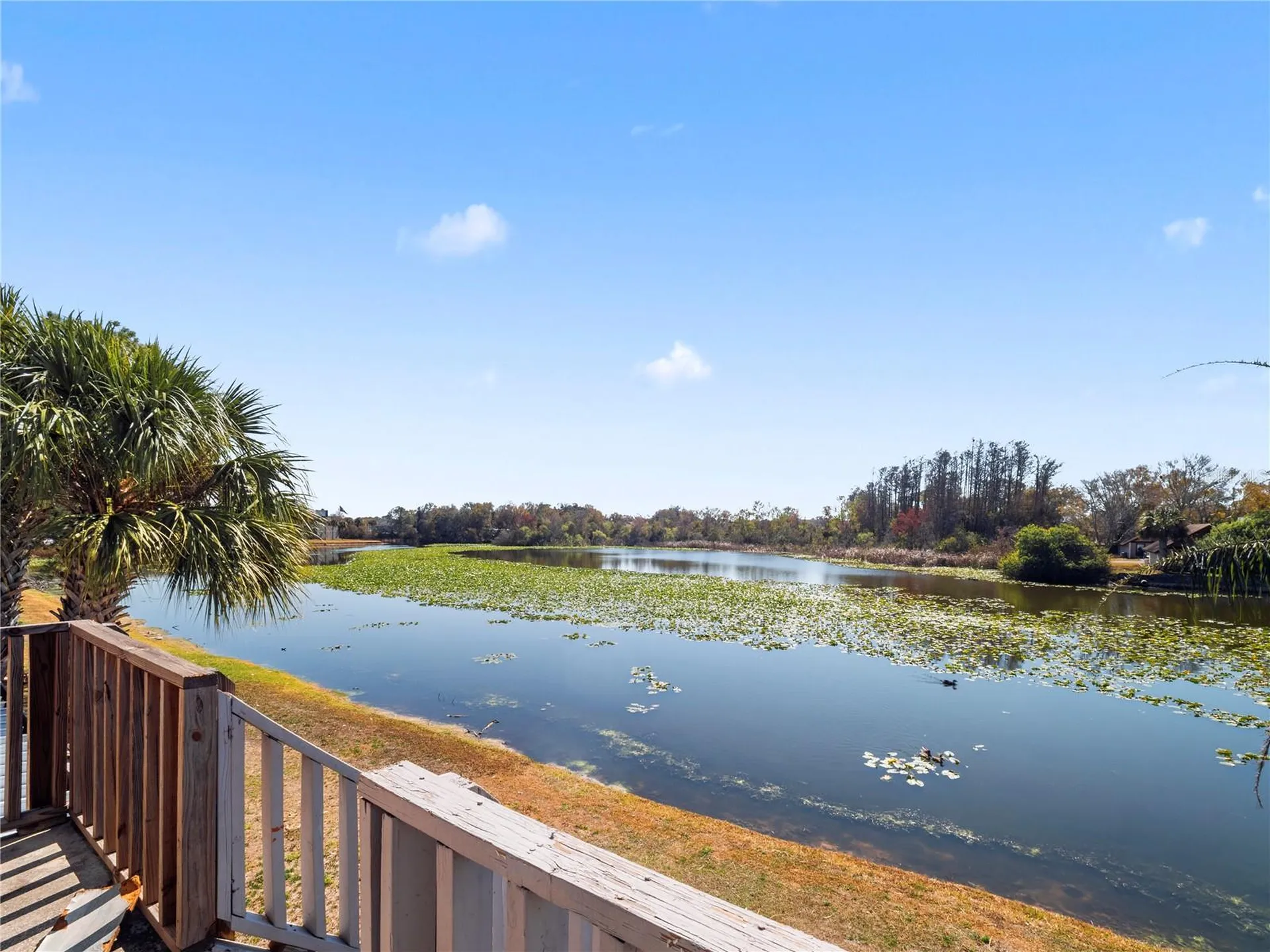 4036 Cortez Drive Tampa FL 33614