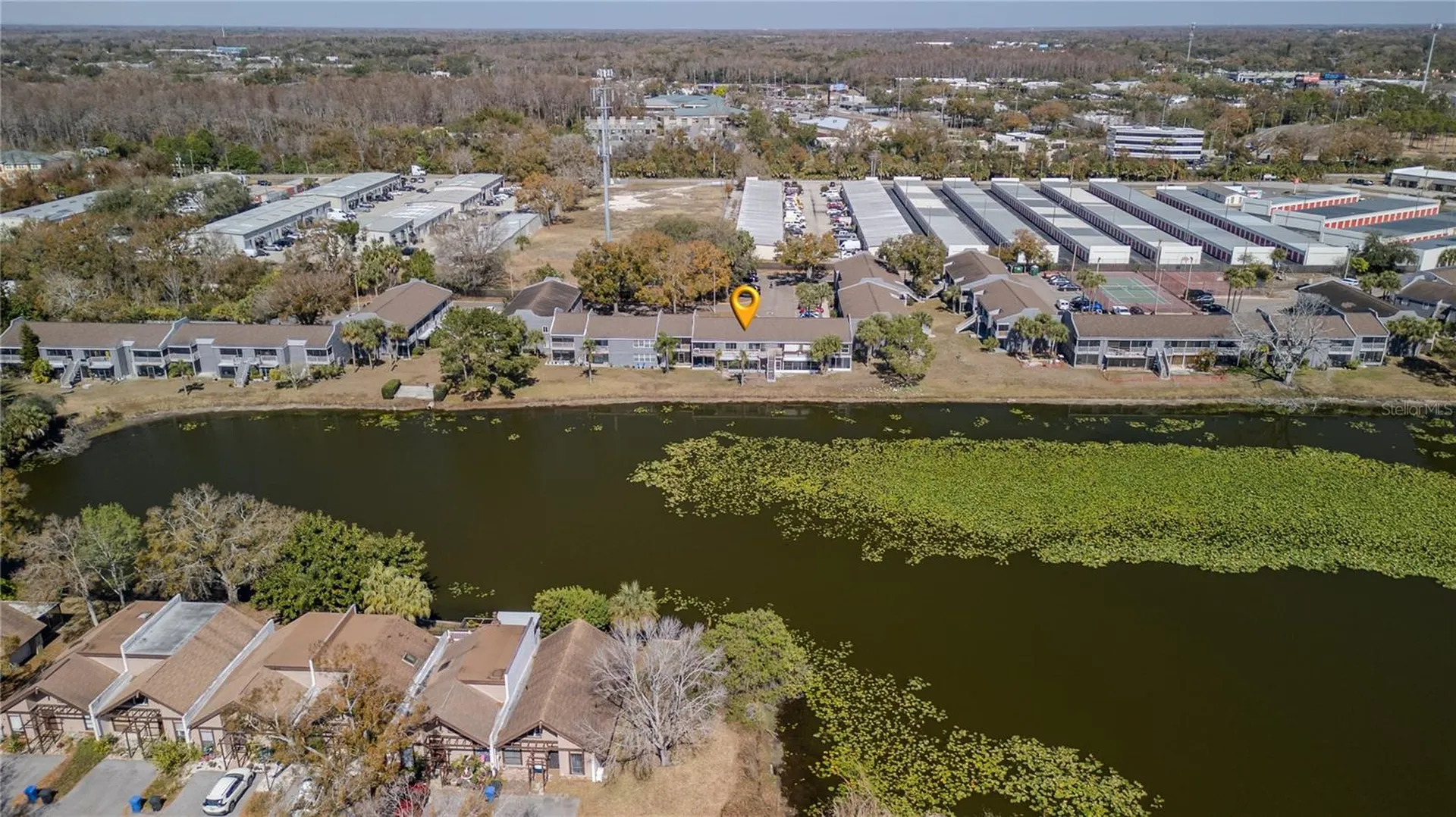 4036 Cortez Drive Tampa FL 33614