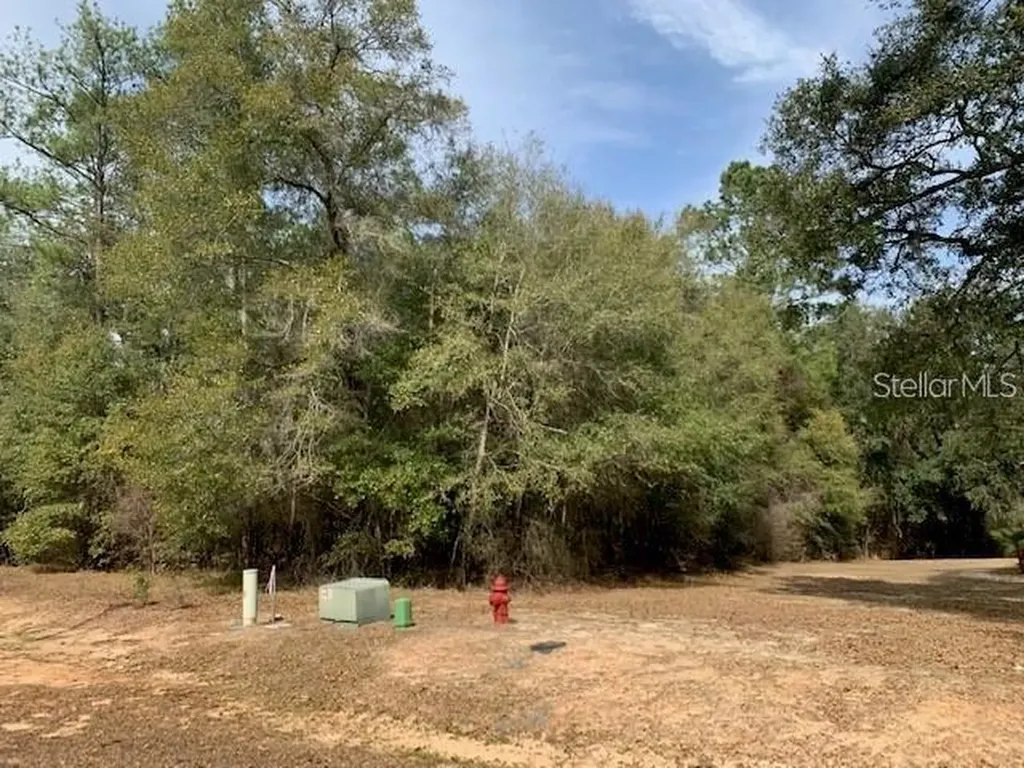 167 Sparkleberry Boulevard Quincy FL 32351