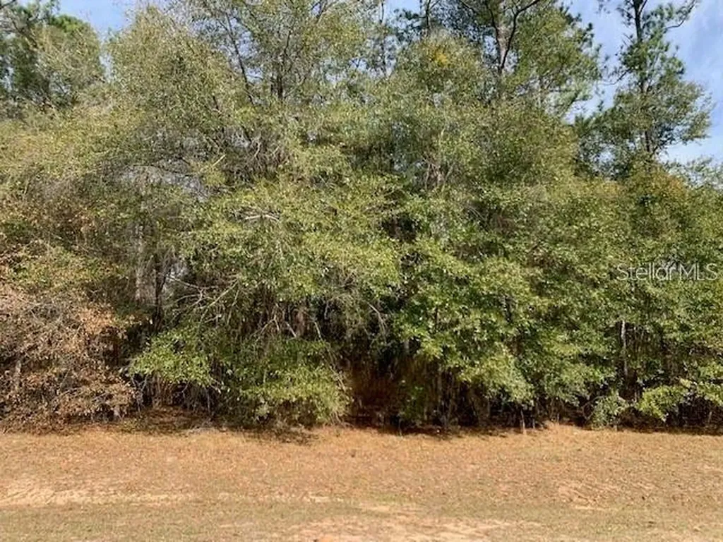167 Sparkleberry Boulevard Quincy FL 32351