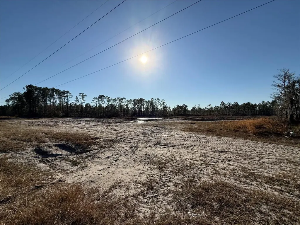01 NE 126 Street Bronson FL 32621
