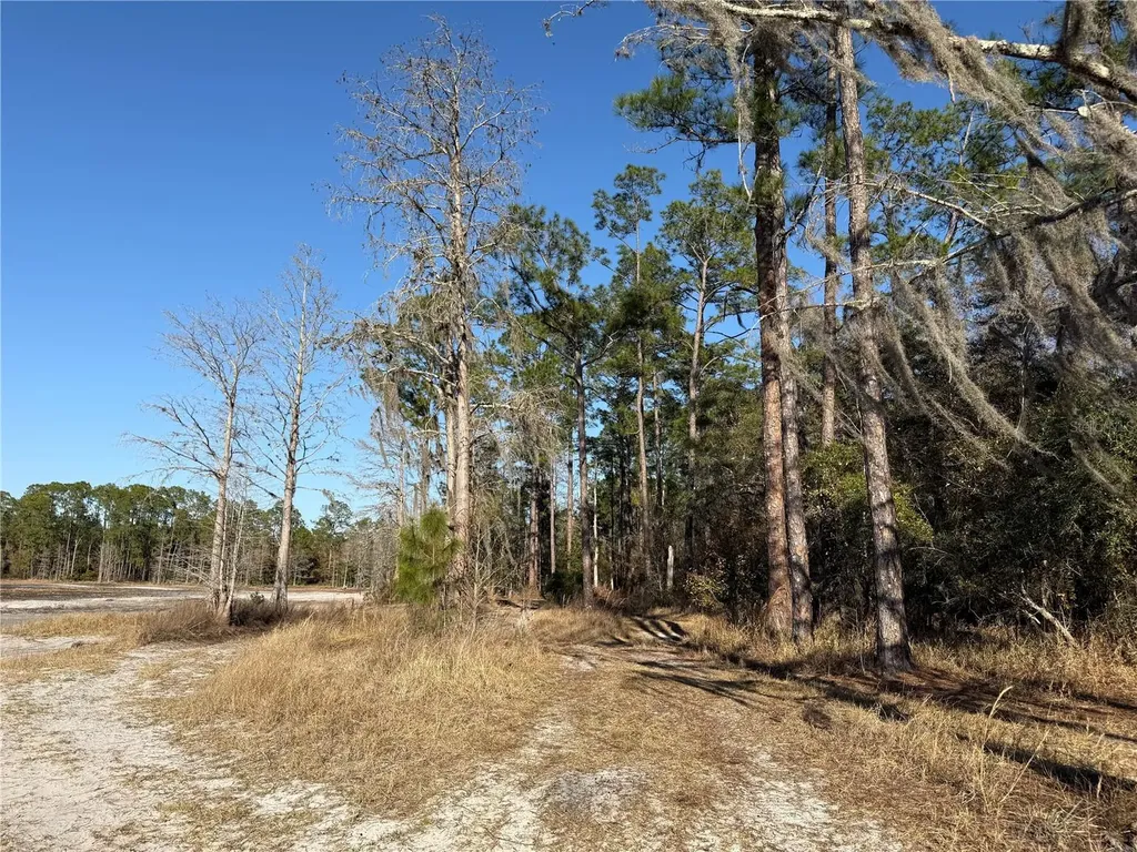 01 NE 126 Street Bronson FL 32621