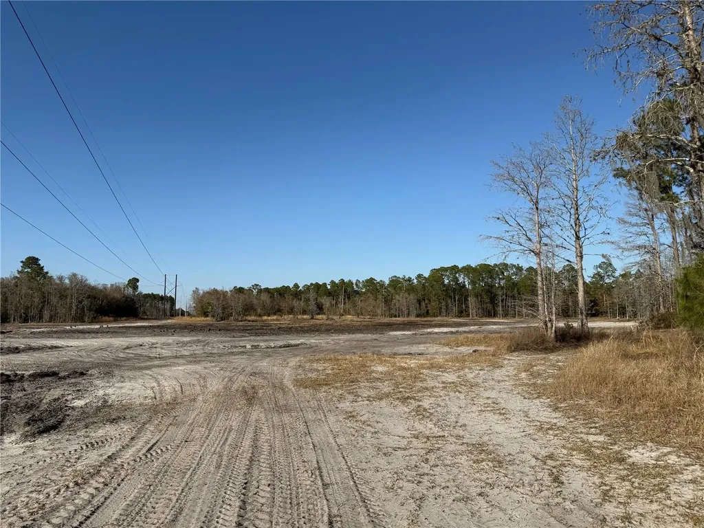 01 NE 126 Street Bronson FL 32621