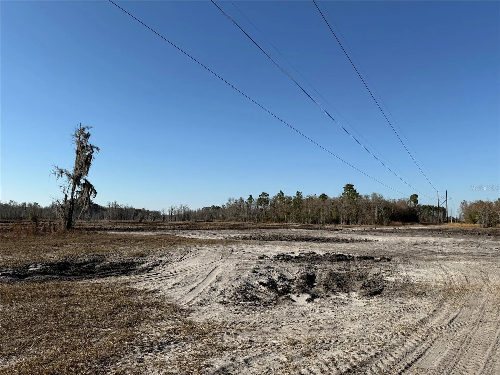 01 NE 126 Street Bronson FL 32621