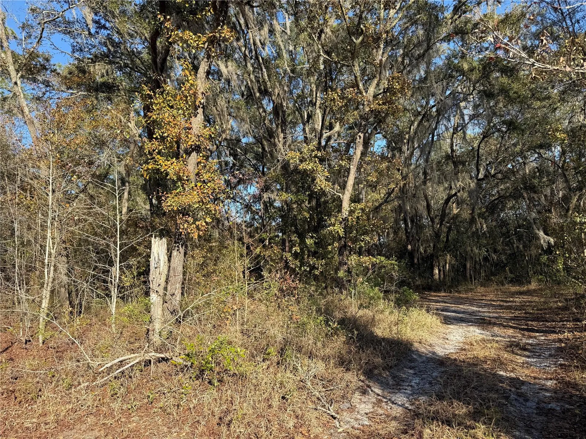 01 NE 126 Street Bronson FL 32621