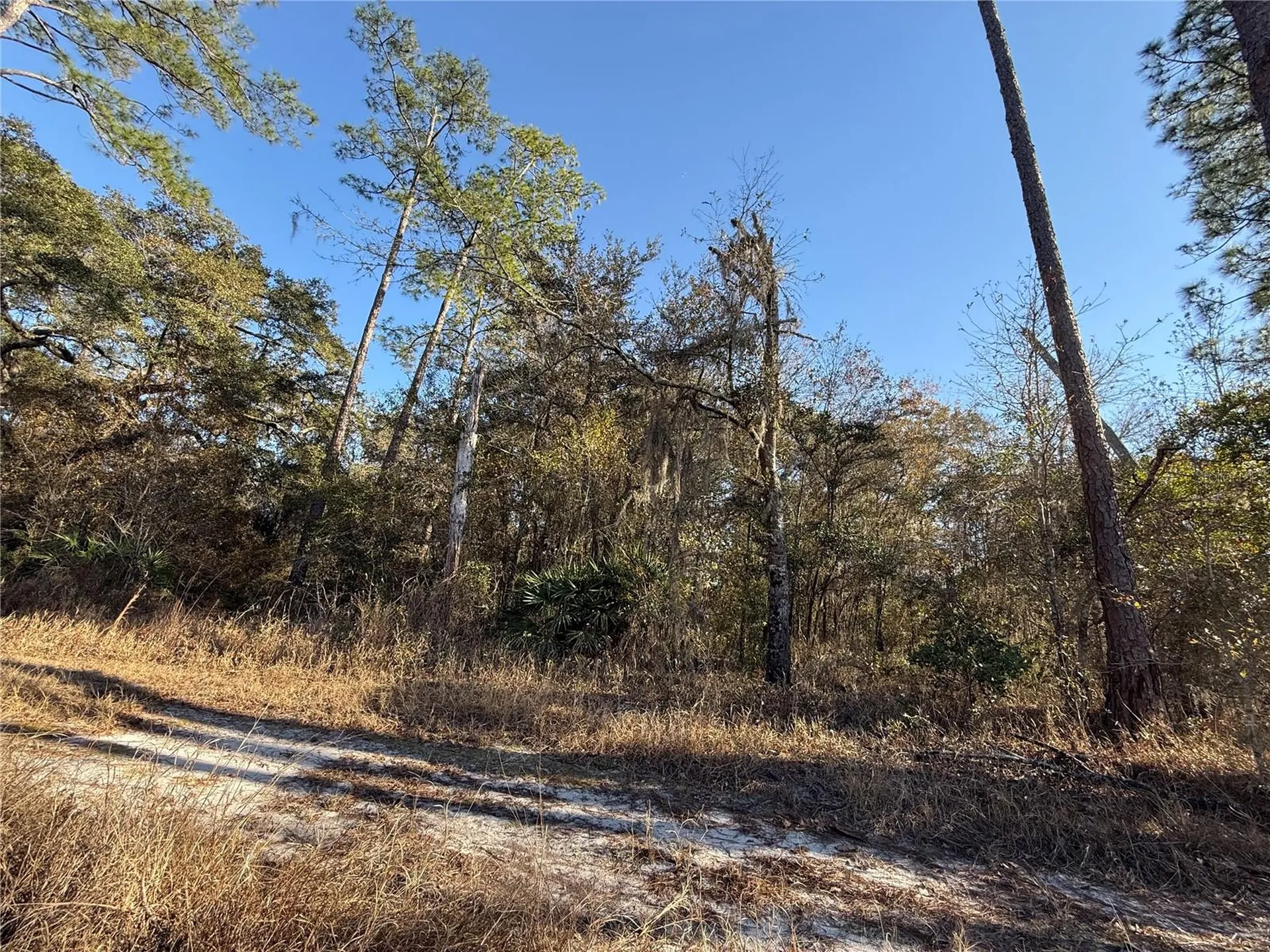 01 NE 126 Street Bronson FL 32621