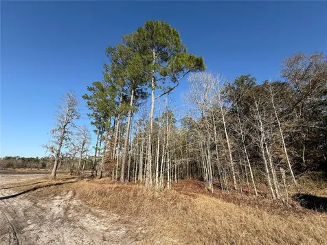 01 NE 126 Street Bronson FL 32621