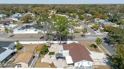 7008 Mintwood Court Tampa FL 33615