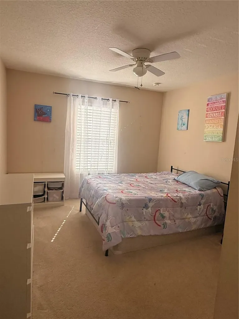 2219 Pico Lane Mount Dora FL 32757