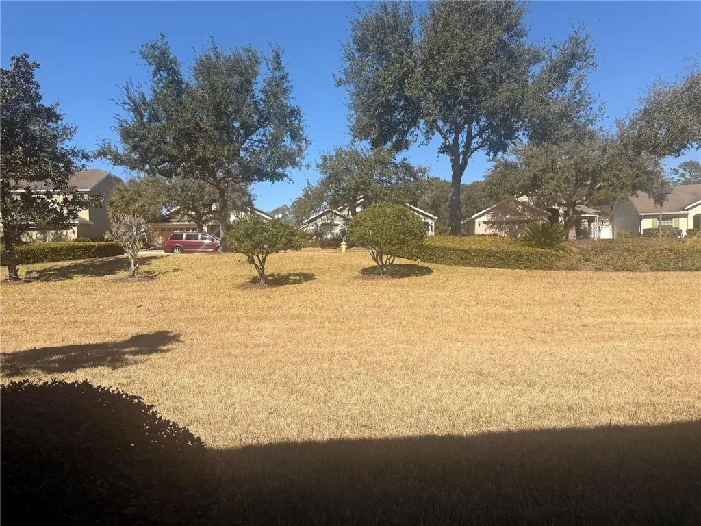 2219 Pico Lane Mount Dora FL 32757