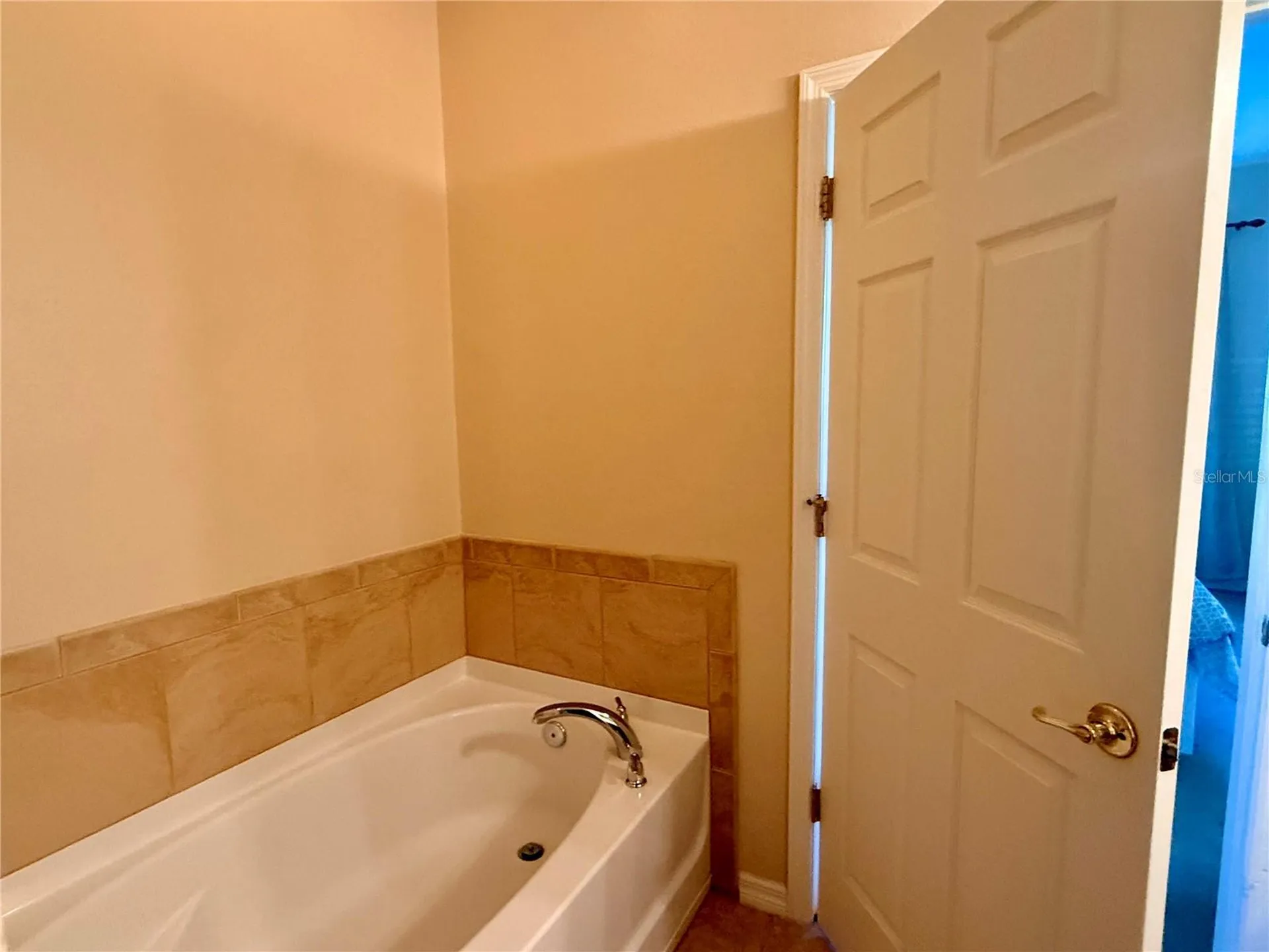 2219 Pico Lane Mount Dora FL 32757
